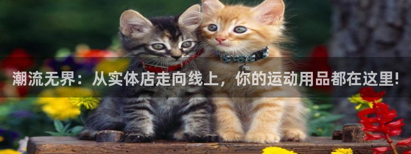 熊猫体育官网下载平台假的吗是真的吗吗:潮流无界:从实体店走向