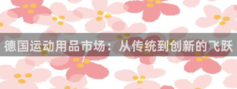 熊猫体育官网下载开户:德国运动用品市场:从传统到创新的飞跃